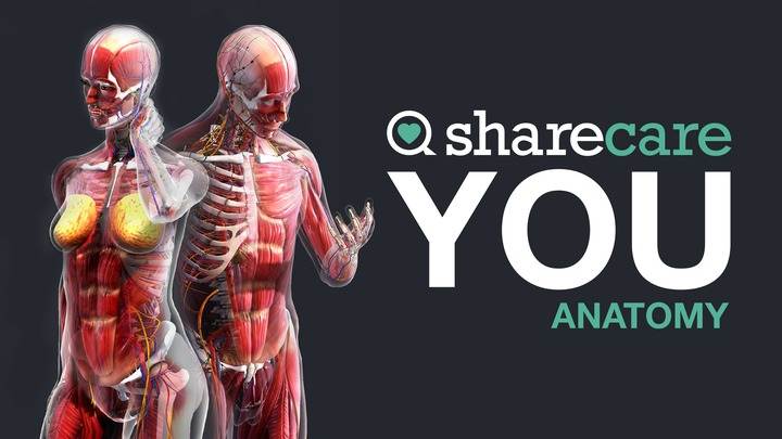 《器官解刨学》Sharecare YOU Anatomy VR
