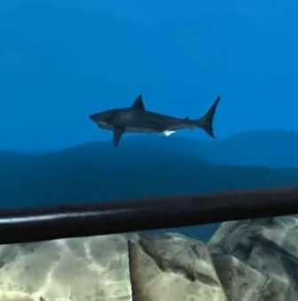 【YouTube精选VR】360°鲨鱼主题游戏360度VR体验视频
